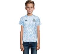 Puma - Camiseta oficial Manchester City Pre-Match 2025-2026 Niño, Unisex, Silver Sky, 152 cm