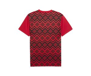 PUMA Camiseta prepartido Egipto para hombre, Ropa, Rojo, L L