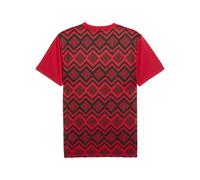 PUMA Camiseta prepartido Egipto para hombre, Ropa, Rojo, XL XL