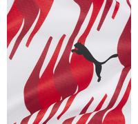 PUMA Camiseta prepartido Girona FC con cremallera de un cuarto para hombre, Accesoiros, Blanco, L L