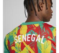 PUMA Camiseta prepartido Senegal 2025 para hombre, Accesoiros, Verde, XXL XXL