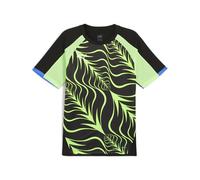 PUMA Camisetas Individualliga Graphic Jersey Hombre