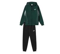 Puma Chándal para hombre con capucha, modelo Sport FL, color verde, código 688177-75, Verde, XL