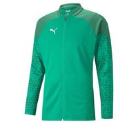 PUMA Chaqueta de Entrenamiento Teamcup Punto, Hombre, Verde Pimienta, XXL