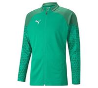 PUMA Chaqueta de Entrenamiento Teamcup Punto, Hombre, Verde Pimienta, L