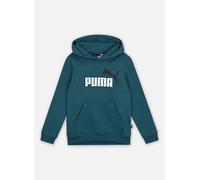 Puma Ess+ 2 Col Big Logo Hoodie Fl B 6A Verde