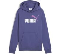 PUMA ESS 2 Color No. 1 Logo Hoodie FL B, Sudaderas con Capucha Niños, Blue Crystal,