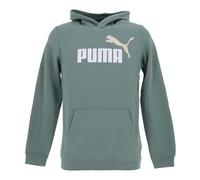 PUMA ESS 2 Color No. 1 Logo Hoodie FL B, Sudaderas con Capucha Niños, Green Moon,