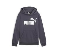 PUMA - ESS Big Logo Hoodie FL B, Sudor Niños, Galactic Gray, 586965