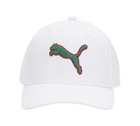 PUMA Evercat Dillon-Gorra de Ajuste elástico béisbol, Blanco/Verde, S/M Unisex Adulto
