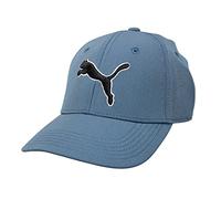PUMA Evercat Dillon Stretch Fit Cap, Blue/Grey, Small-Medium US