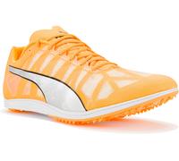 Puma evoSPEED Distance 10 45 Naranja