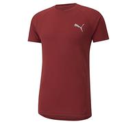 Puma Evostripe tee