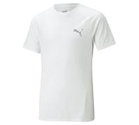 PUMA EVOSTRIPE tee, tee,