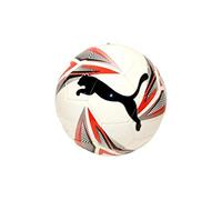 PUMA ftblPLAY Big Cat Ball