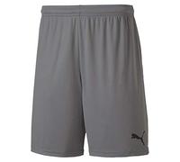 PUMA Hombre Pantalones Cortos, Steel Gray, XXL