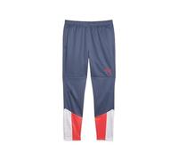 Puma Individualcup - Pantalones de Entrenamiento para Hombre