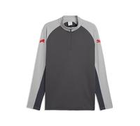 PUMA Individualliga 1/4 Zip Top Camisetas Hombre (Pack de 1)
