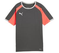 PUMA IndividualLIGAJersey Jr