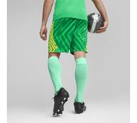 PUMA Manchester City Goalkeeper Shorts Men, Sport, Grassy Verde/Amarillo Alert, L L