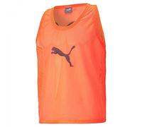 Camiseta Puma Bib S