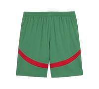 PUMA Morocco 2025 Shorts Men, Ropa, Archive Verde/Rojo, 3XL 3XL