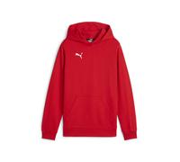 Puma Niños Teamgoal Casuals Sudadera Jersey Sudadera 658619 Rojo