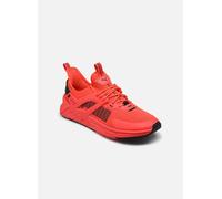Puma Pacer + M 41 Rojo