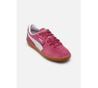 PUMA Palermo Trainers EU 36