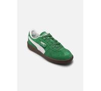 Puma Palermo 39 Verde