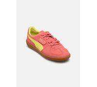 Puma Palermo 42 Rosa