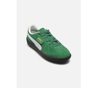 Zapatillas infantil Puma Palermo 37