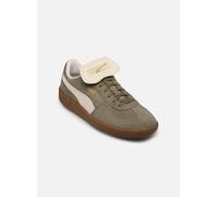Puma Palermo Premium Suede M 46 Verde