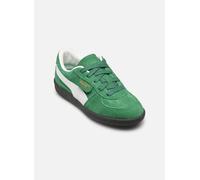 Puma Palermo Ps 34 Verde