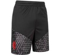 Puma - Pantalón corto AC Milan Training 2023-2024 Adulto, Unisex, Black-Medium Gray, S