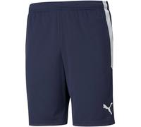 Puma Pantalones Cortos teamLIGA Training Shorts