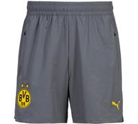 PUMA Pantalón deportivo 'Borussia Dortmund' curry / gris oscuro / negro S curry / gris oscuro / negro