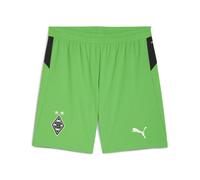 PUMA Pantalón deportivo 'Borussia Mönchengladbach 25/26' verde / negro / blanco Lxregular verde / negro / blanco