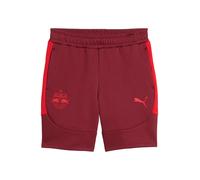 PUMA Pantalón deportivo 'Bull Salzburg Evostripe' rojo / rojo oscuro XL rojo / rojo oscuro