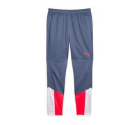 PUMA Pantalón deportivo 'IndividualCUP' azul paloma / rojo / blanco L azul paloma / rojo / blanco