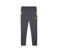 PUMA Pantalón deportivo 'IndividualCUP' gris / lima Mxregular gris / lima