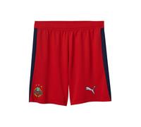 PUMA Pantalón deportivo 'SK Rapid Wien 2025/2026' marino / verde claro / rojo / blanco M EUR