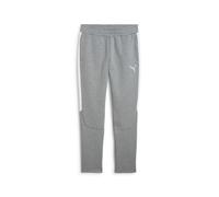 PUMA Pantalón deportivo 'teamEvostripe' gris / blanco L gris / blanco