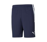 Puma Pantalones Cortos teamLIGA Training Shorts