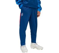 Puma - Pantalón largo Neymar Jr Playmaker Training Pant Jr, Unisex, Blazing Blue-White-Ultra Blue, 164 cm