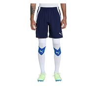 Puma Pantalones Cortos teamLIGA Training Shorts