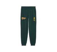 PUMA Pantalones de chándal AC Milan FtblCulture para hombre, Accesoiros, Verde, XS