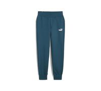 PUMA Pantalones de chándal Essentials Mujer S Cold Green ┃Pantalones Deportivos de Corte estándar para Mujer