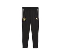PUMA Pantalones de entrenamiento Manchester City de corte semiajustado para hombre, Accesoiros, Negro, L