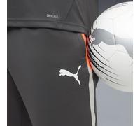 PUMA Pantalones de training individualLIGA para hombre, Accesoiros, Gris, XXL XXL